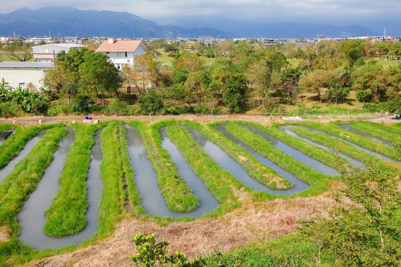 Fish House 宜蘭獨棟別墅 戲水池 生態diy 安農溪自行車 Daire Dongshan  Dış mekan fotoğraf
